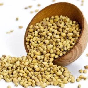 Coriander seeds